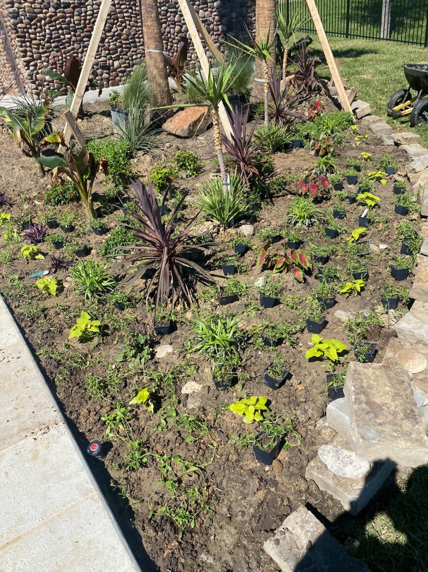 Landscaping project photo