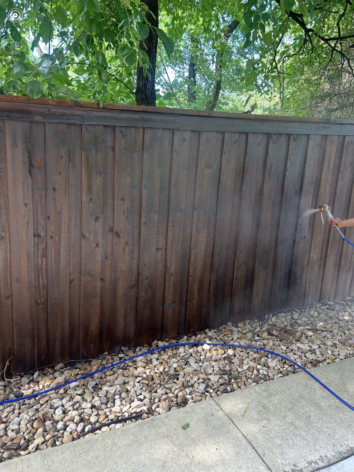 Wood fence being spray stained a rich brown